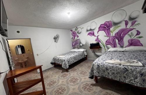Xilitla Apartment | Posada TEO