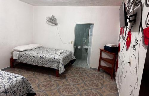 Xilitla Apartment | Posada TEO