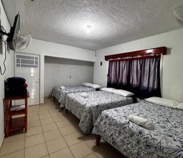 Xilitla Apartment | Posada TEO