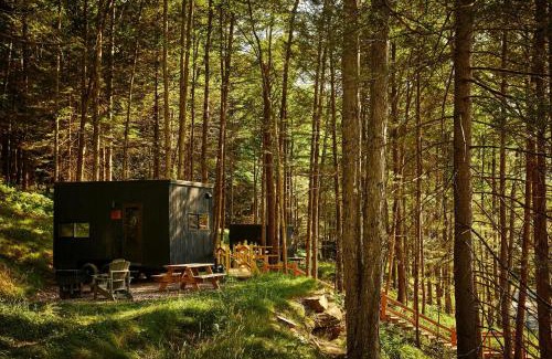 Navasota Other | Postcard Cabins Brazos Valley, Outdoor Collection by Marriott Bonvoy