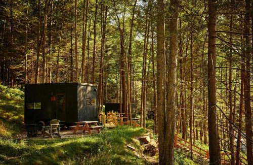Osceola Other | Postcard Cabins Ozark Highlands, Outdoor Collection by Marriott Bonvoy