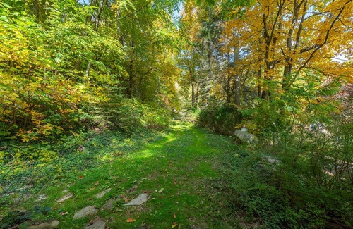 Spruce Pine Cabin | Power & Water! WiFi Soon! Hot Tub + Fireplace, Peaceful & 5 mins to the BRP!