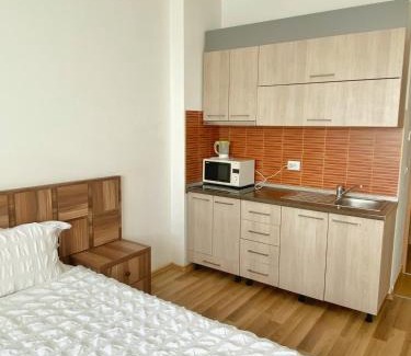 Sector 4 Apartment | Premier Flat with Parking