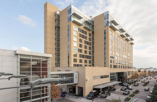 Memorial House | Premium King at The Moran CityCentre, Live Music, Onsite Pool, Parking!