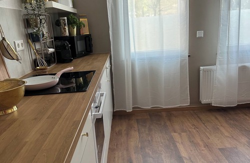 Duisburg Sud Apartment | Premium old building apartment in the south of Duisburg, near Düsseldorf airport & trade fair center