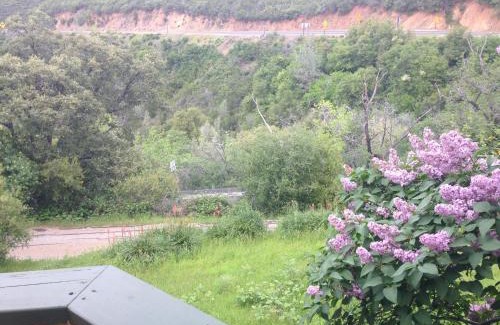 Priest Hotel | Priest Station Cafe & Cabins