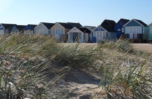 New Forest District Cottage | Prime position in Burley, New Forest National Park!