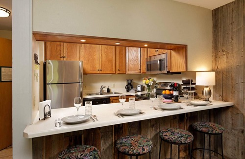 Snowmass Village Condo | Prime Ski-In/Ski-Out! Steps to Lifts & Snowmass Base, Wood Fireplace, Hot Tub, Patio & Winter Fun!