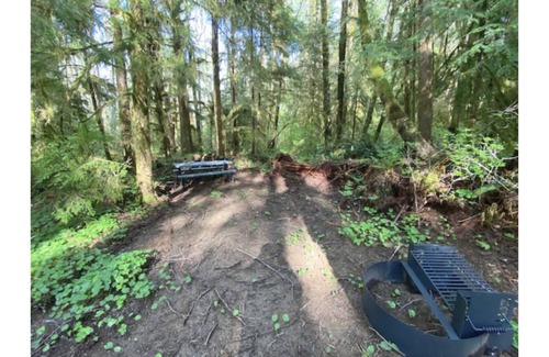 Forks RV Rental | Primitive Tent Site #11- Beautiful Forested Property