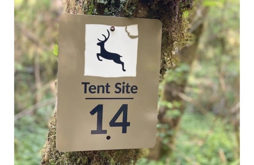 Forks RV Rental | Primitive Tent Site #14- Beautiful Forested Property