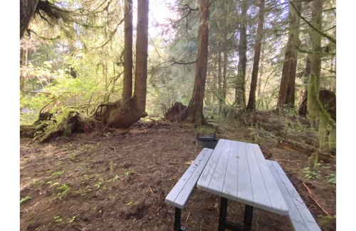 Forks RV Rental | Primitive Tent Site #3- Beautiful Forested Property