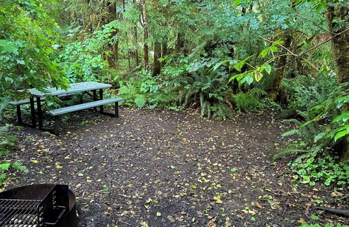 Forks RV Rental | Primitive Tent Site in Enchanted Rain Forest - Site #1