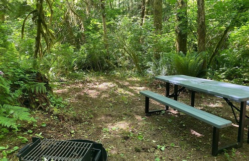 Forks RV Rental | Primitive Tent Site in Enchanted Rain Forest - Site #21