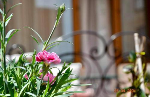 Sandanski Apartment | Princess Apartment