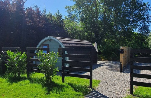 Killarney Cabin | Priory Glamping Pods