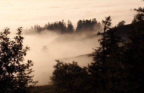 Langlois House | *Private 80 Acre Mountain-Top Property Great For Events Family Get-2-Togethers*