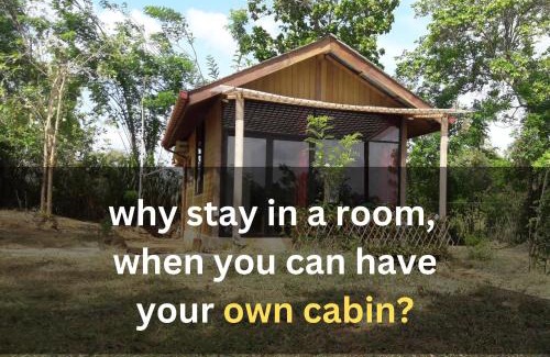 Sigiriya Apartment | Private Cabin and private Kitchen - Experience serenity, and beautiful nature