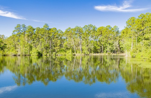 Fairhope Cabin | Private cabin built over a lake with a large breezy screened-in porch.