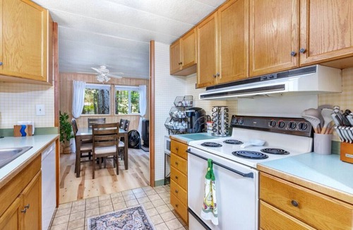Paradise Estates Cabin | Private Cabin - HOT TUB, A/C, EV charger near Mt Rainier, Ashford WA