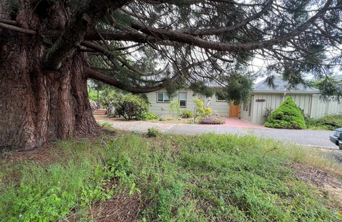 Port Angeles House | Private, charming 3 bedroom house. Hot tub. Fenced compound feeling.