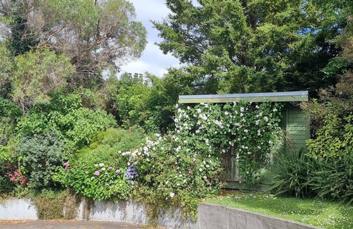 Havelock North House | Private, comfortable home, sleeps up to 9. Plenty of off street parking