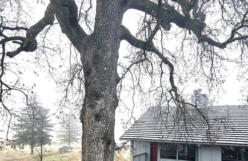 Stallion Springs Cottage | Private cottage quiet & peaceful at Stallion Springs