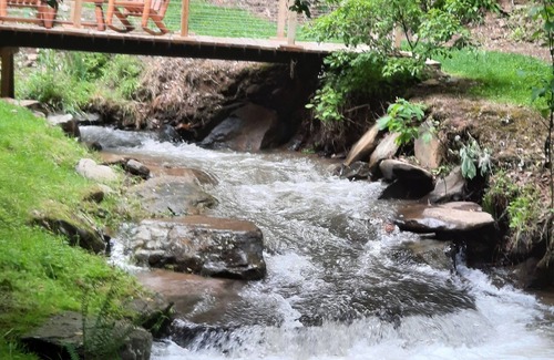 Waynesville Cabin | Private Family Cabin on Creek w/Hot Tub - Kid & Dog Friendly, Grill & Fireplace