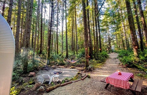 Southworth Cabin | Private Forest Glamping Cabin in Beautiful Port Orchard