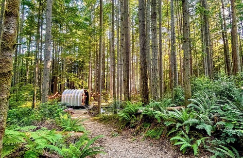 Southworth Cabin | Private Forest Glamping Cabin in Beautiful Port Orchard