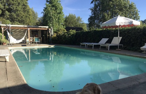 Benbow Apartment | Private guesthouse, pet friendly, ADA, view, Avenue of the Giants,fast wifi