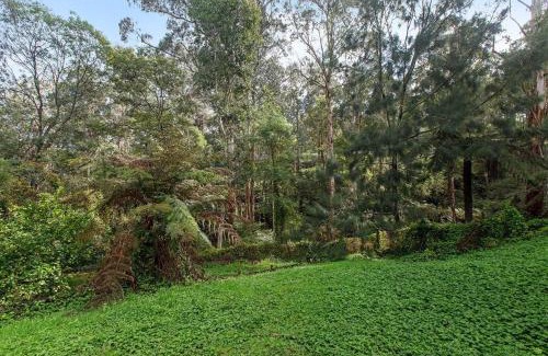 Cockatoo House | Private Holiday Home With Rain Forest Creek View