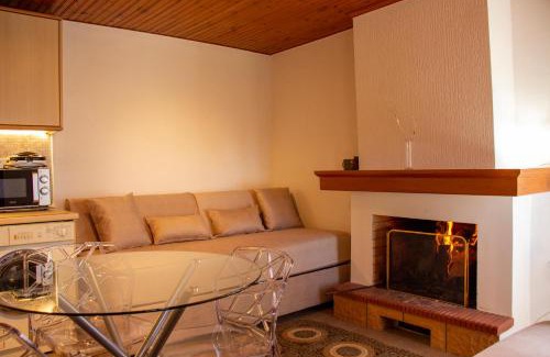 Karpenisi Apartment | Private House, Miriki Village