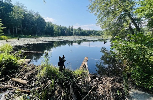 Raymond House | Private NH Getaway Near Onway Lake