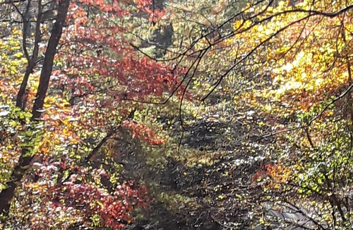Dahlonega Cottage | Private, Peaceful Cottage on the Chestatee River and Dahlonega Plateau