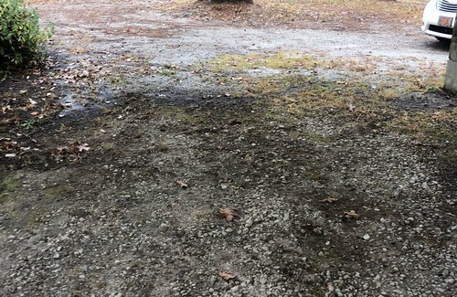 Salem RV Rental | Private RV Camping spot with plenty of room to stretch. Intimate and private.