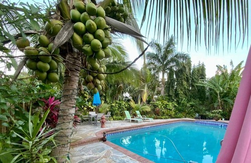 Coral Springs House | Private Suite in Beautiful Villa-Like Shared Home