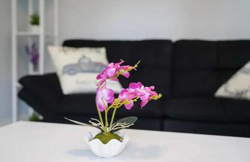 Sulphur Springs House | Private Suite near Busch Gardens Adventure Island USF and I-275