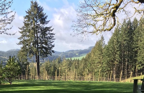McMinnville Cabin | Private Vineyard Cabin in the Heart of Wine Country