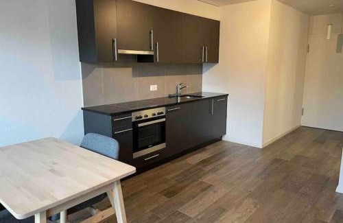 Prilly Apartment | Proche Lausanne: Studio bien équipé