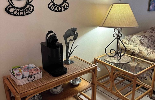 Crystal River Apartment | Professor Rousseau's Manatee Bay