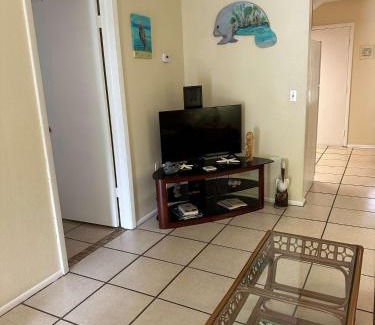 Crystal River Apartment | Professor Rousseau's Manatee Bay