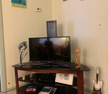Crystal River Apartment | Professor Rousseau's Manatee Bay