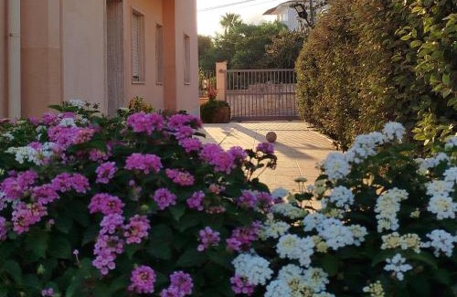 Alcamo Marina House | Profumo di Mare 1