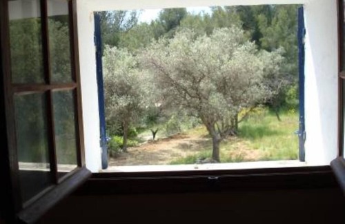 Ceyreste House | Provencal cottage surrounded by olive trees for lovers of calm and nature.