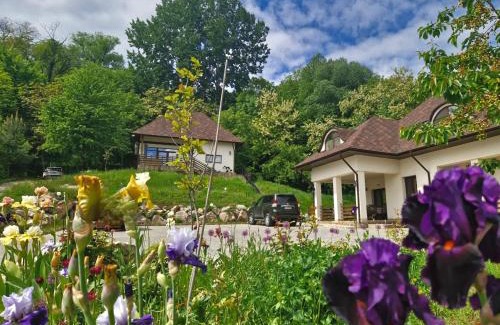Suceava Hotel | Provence Suceava