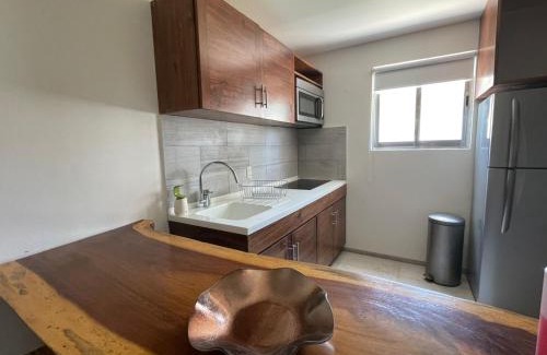 Santa Maria Huatulco Apartment | PUNTA GAVIOTA
