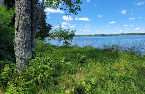 Grayling Cabin | Pure Bliss in Upper Northern Michigan!
