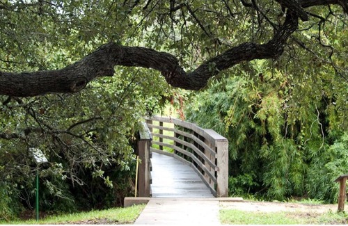 San Antonio House | PURE ELEGANCE nSan Antonio's Royal Paradise 3 bedroom 2 bath