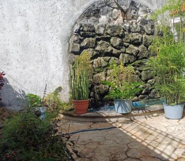 Colonia Adolfo Lopez Mateos Apartment | Purple Lotus Cozumel