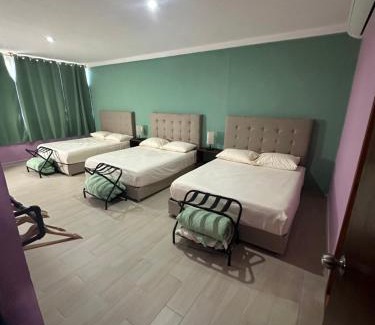 Centro Apartment | Puul Suites